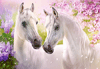 Pferde im Liebesglück