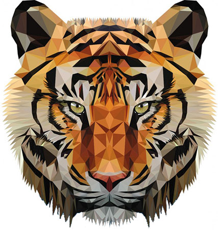 Blick des Tigers