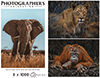 Wildtiere Blickkontakt 3 x 1000 Teile  (Donal Boyd)