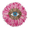 Blüte mit Auge
