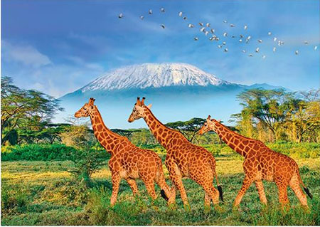 Giraffen vor dem Bergpanorama