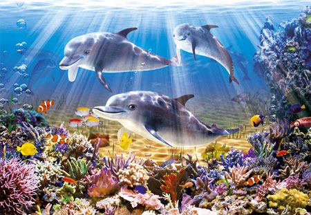 Unterwasser Delfine