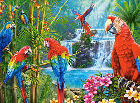 Papageien-Treffen am Wasserfall