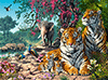 Tiger Schutzgebiet