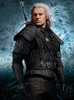The Witcher - Gerald
