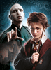 Harry Potter und Lord Voldemort