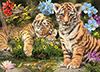 Secret Puzzle - Tiger Babies