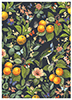 Blühende Orangen