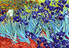 Irisblüten, van Gogh