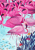 Flamingo, Kürti