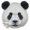 Pandaporträt