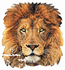 Löwenporträt