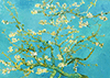 Vincent Van Gogh: Mandelblüten