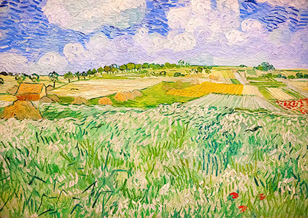 Vincent Van Gogh: Ebene bei Auvers