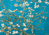 van Gogh - Almond Branches