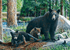 Die Bärenfamilie im Wald