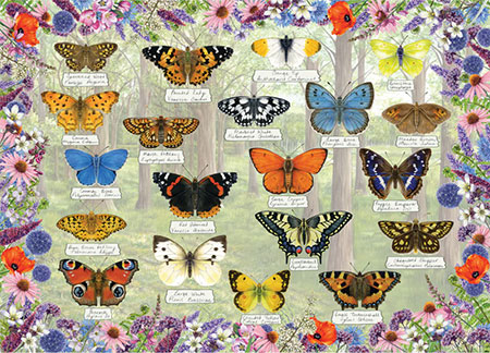 Schöne bunte Schmetterlinge