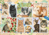 Briefmarken Sammlung Katzen