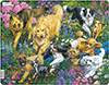 Hunde im Blumenfeld