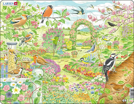 Vögel und Pflanzen im Garten