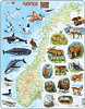Physische Karte - Norwegen mit Tieren