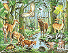 Tiere im Wald