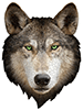 Shape Puzzle  - Wolf