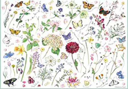 Blumen und Schmetterlinge 