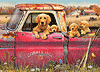 Süße Hunde im rostigen Pickup