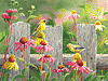 Gelbe Vögel vor dem Gartenzaun