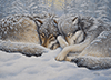 Wölfe bei der Winterruhe