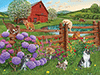 Ein Bauernhof voller Katzen