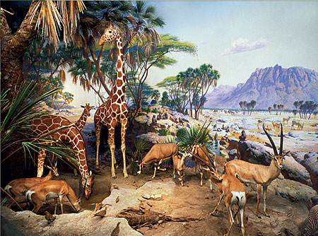 Afrikanische Tiere in der Savanne