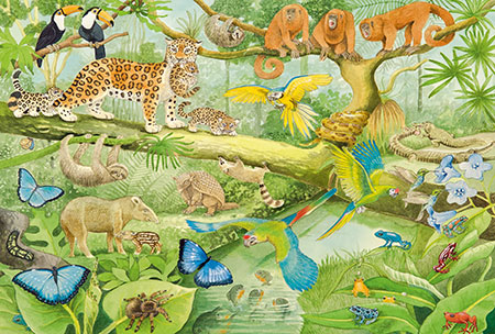 Tiere im Regenwald