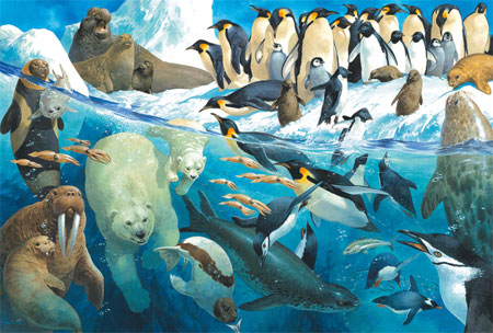 Tiere am Polarkreis
