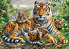 Tiger und Welpen