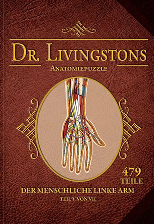 Dr. Livingstons Anatomiepuzzle: Der linke Arm (5 von 7)