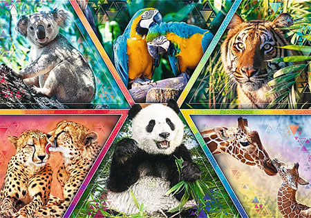 Animal Planet: Königreich der Tiere