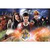 Harry Potter - Hogwarts Freunde