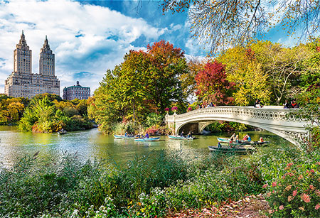 Central Park mitten in New York