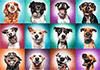 Lustige Hunde Porträts