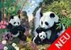 Pandafamilie am Wasserfall
