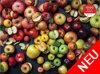 Vielfalt aus Äpfeln