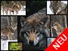 WWF präsentiert: Wölfe